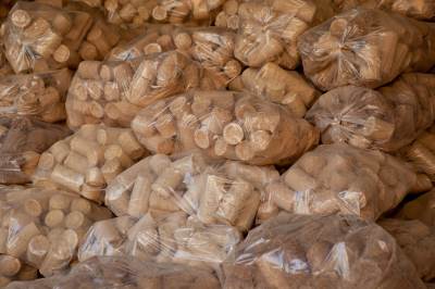 Clicca per ingrandire la foto